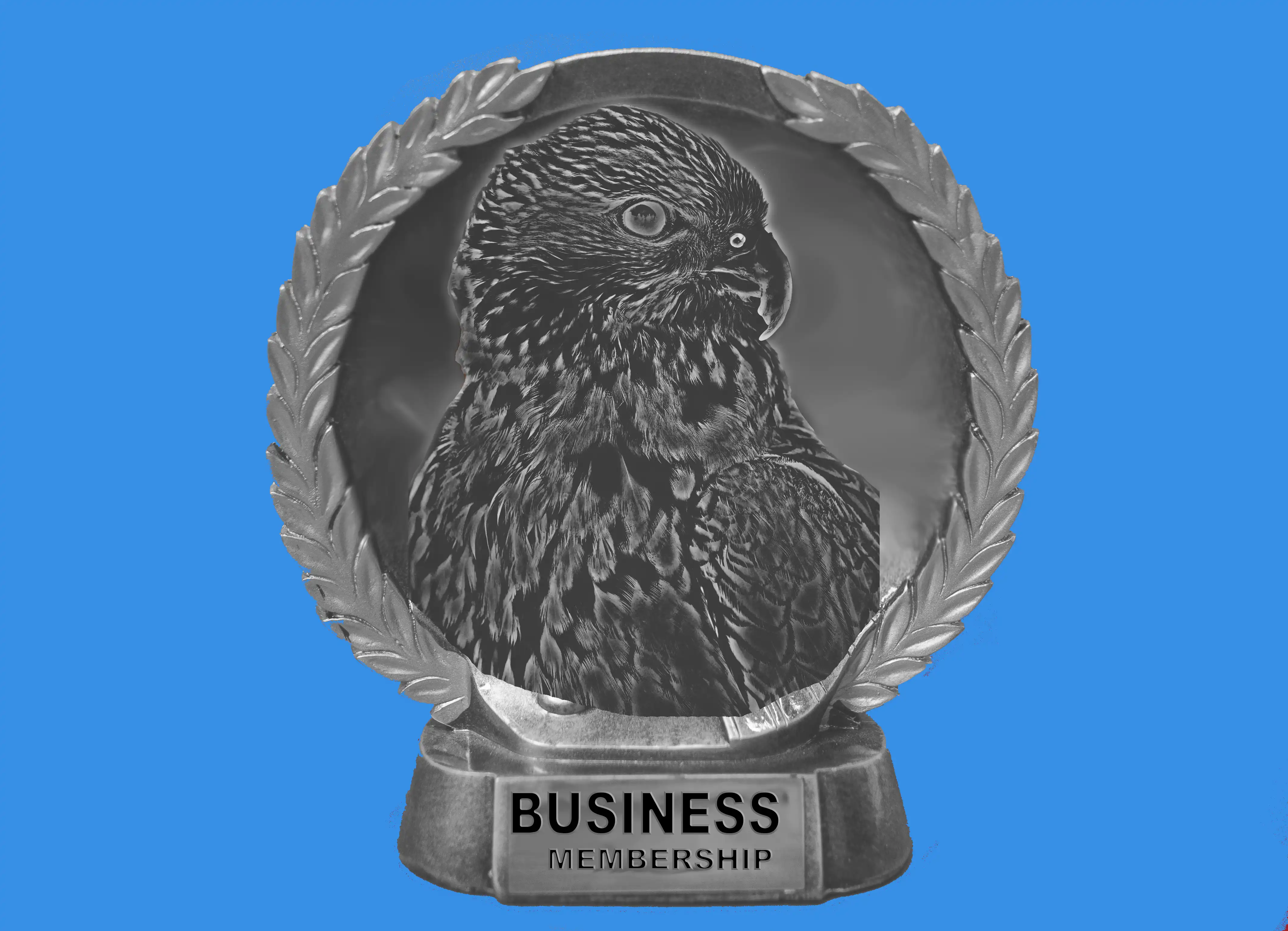 Business Membership Image